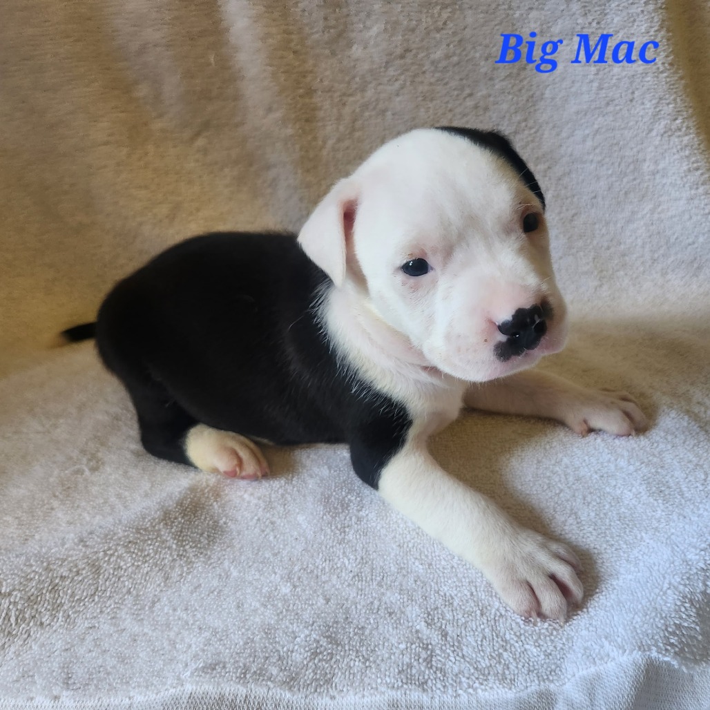 Big Mac