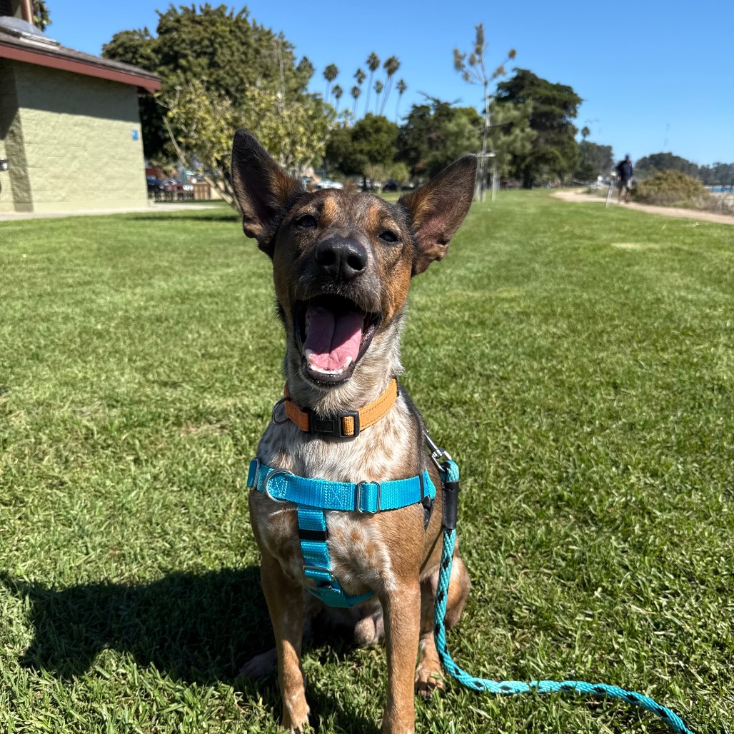 Cash, photo 35