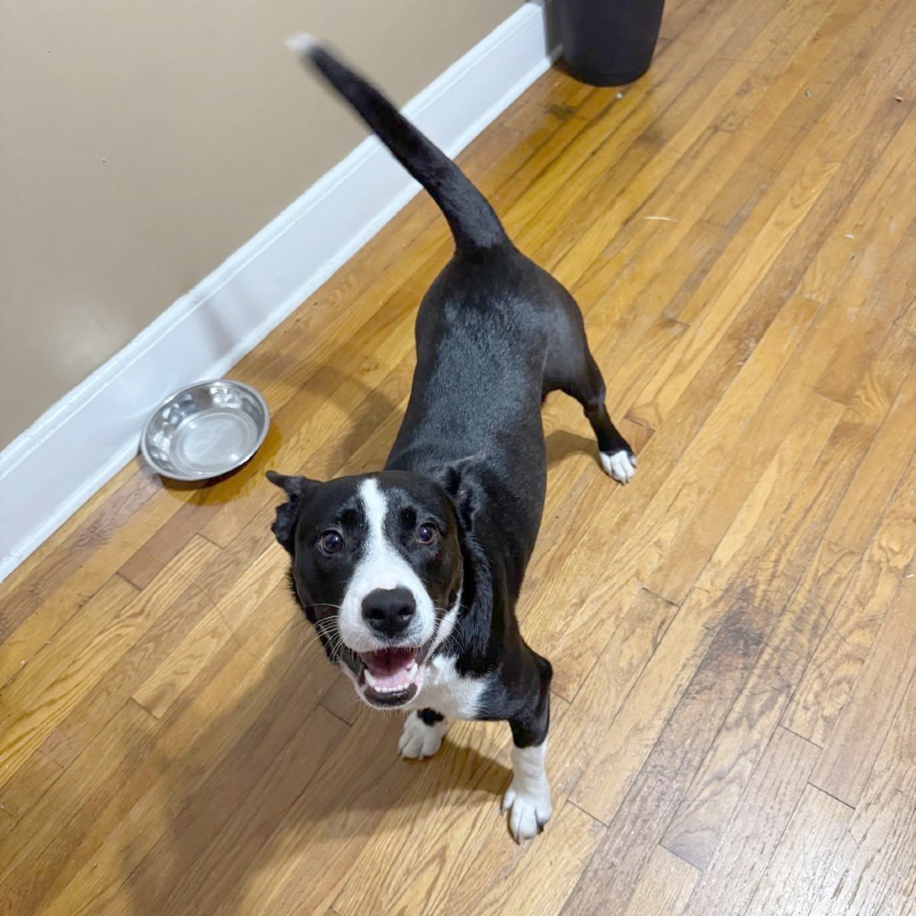 Aphrodite — thumbnail 4