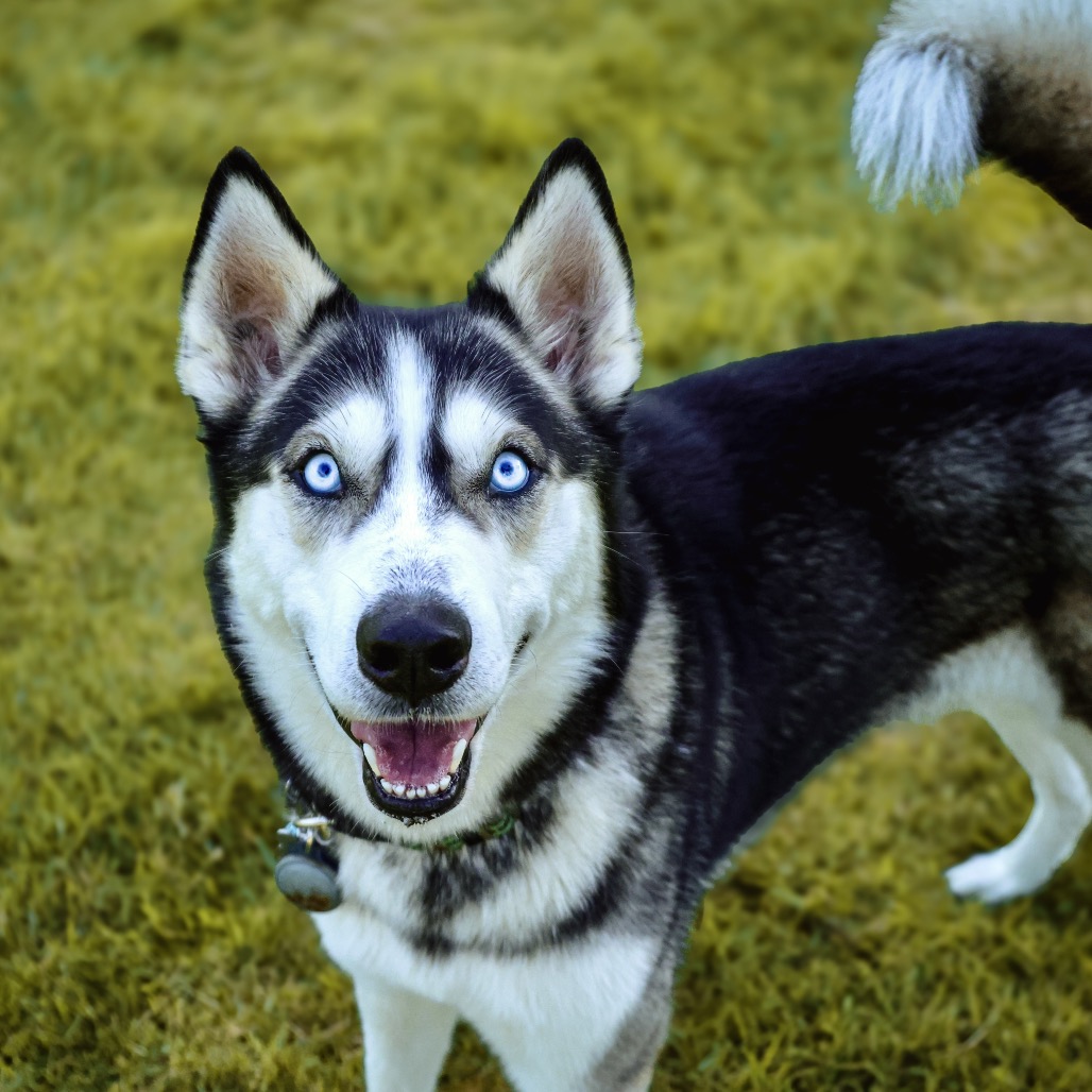 OAKLEY, photo 17