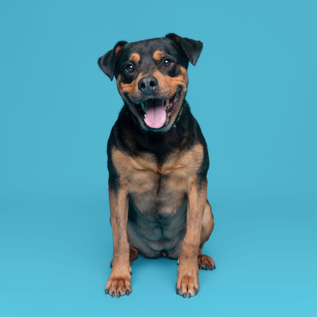 Nala