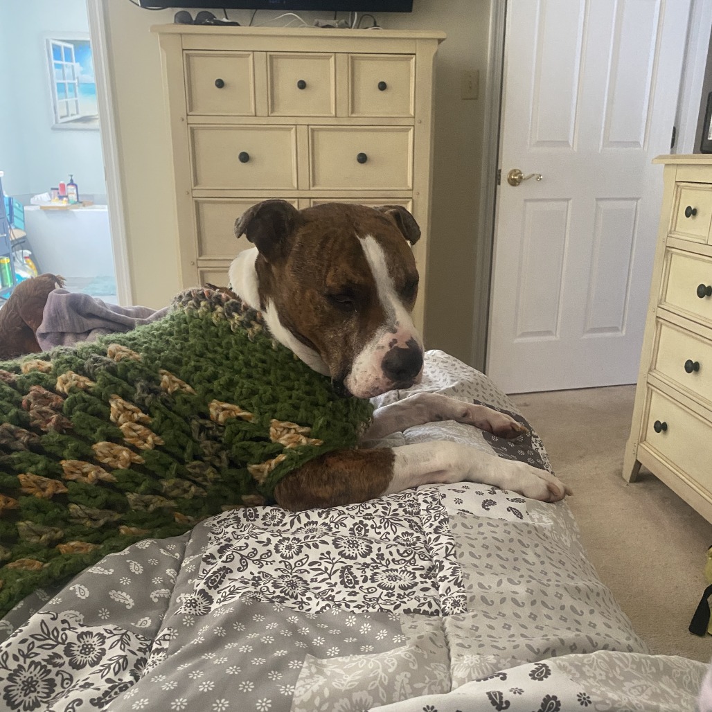 Jax, additional photo