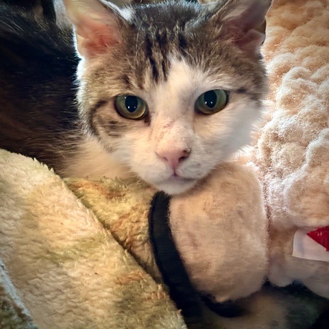 Cloud — thumbnail 3