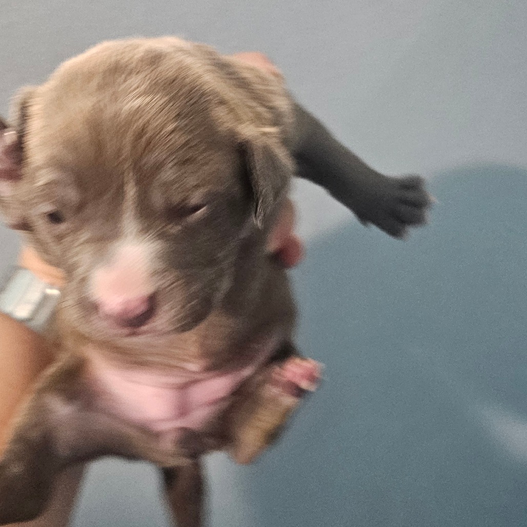 Gatsby — thumbnail 2