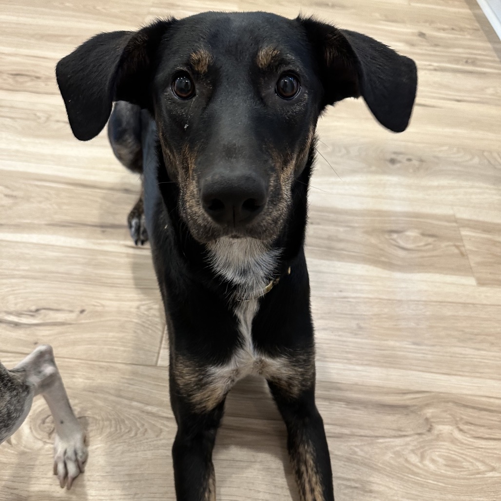 Lucille — thumbnail 3