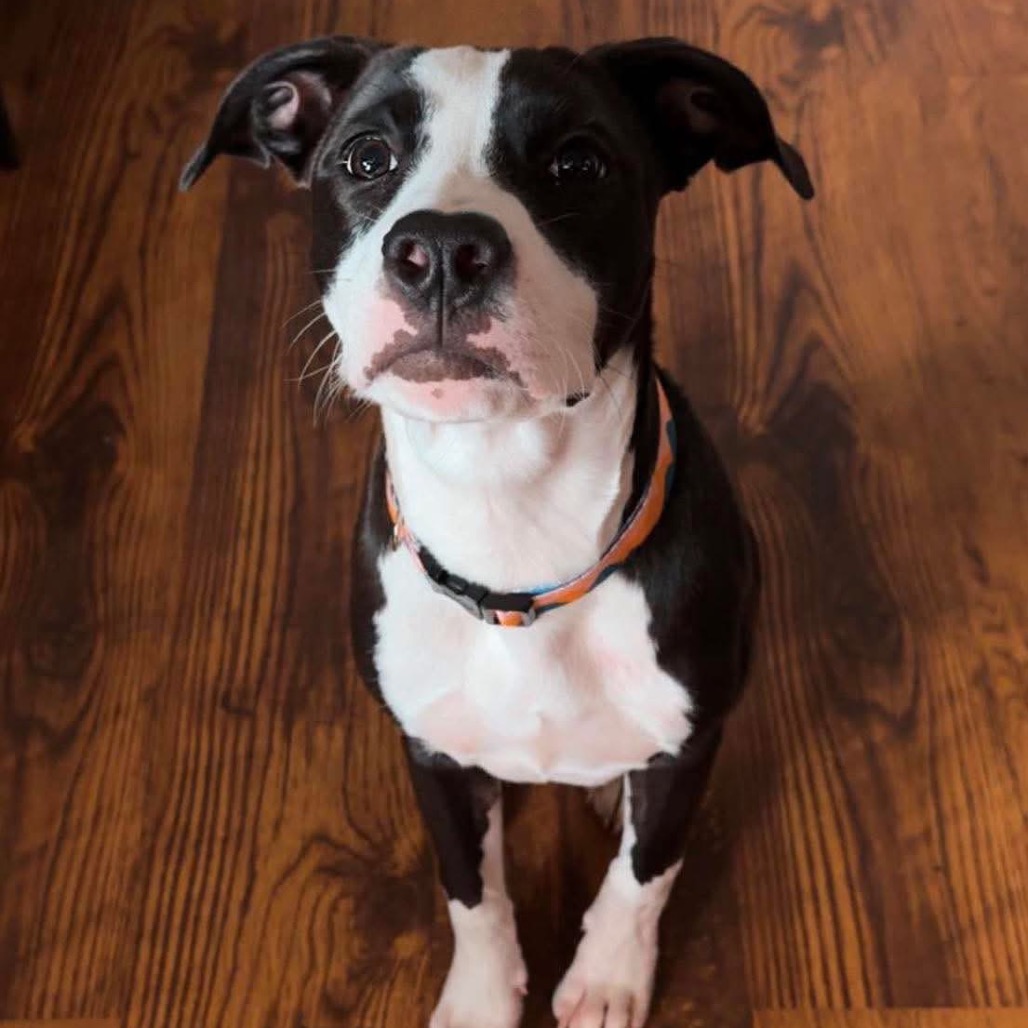 Lily Mae