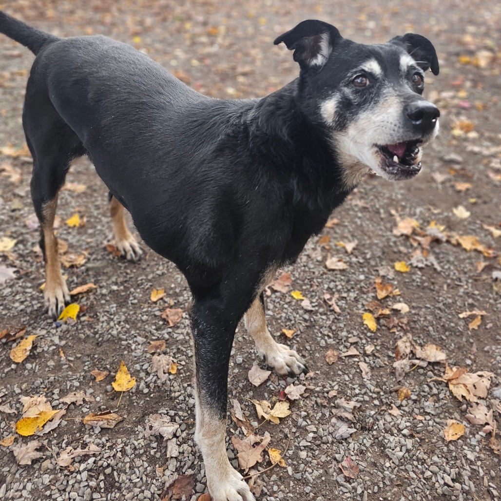 Rocco, photo 20