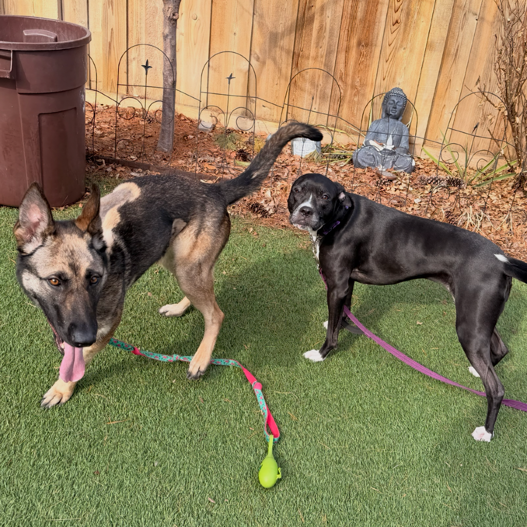 Hera — thumbnail 5