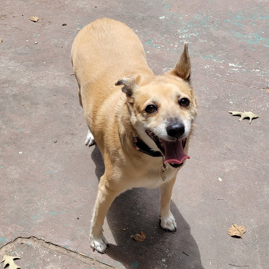 Chloe, photo 2