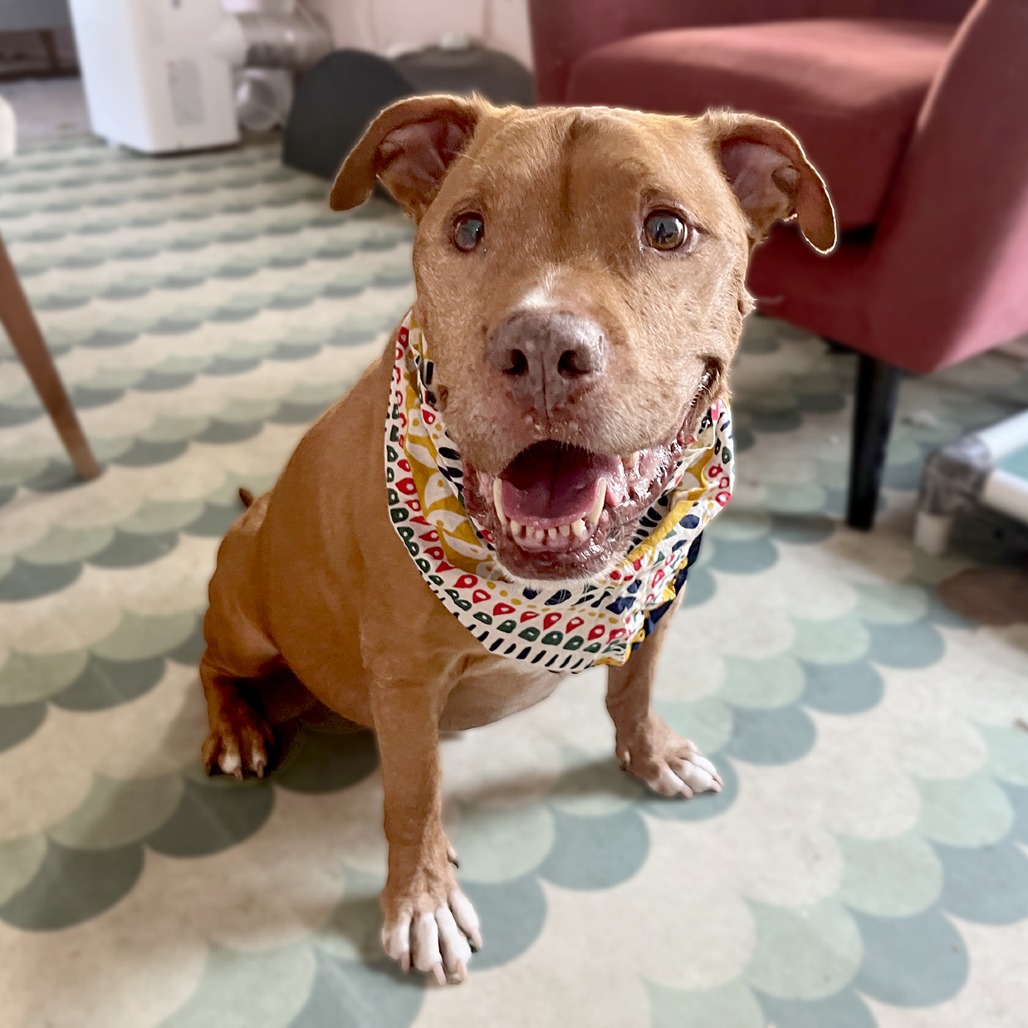 Monty, additional photo