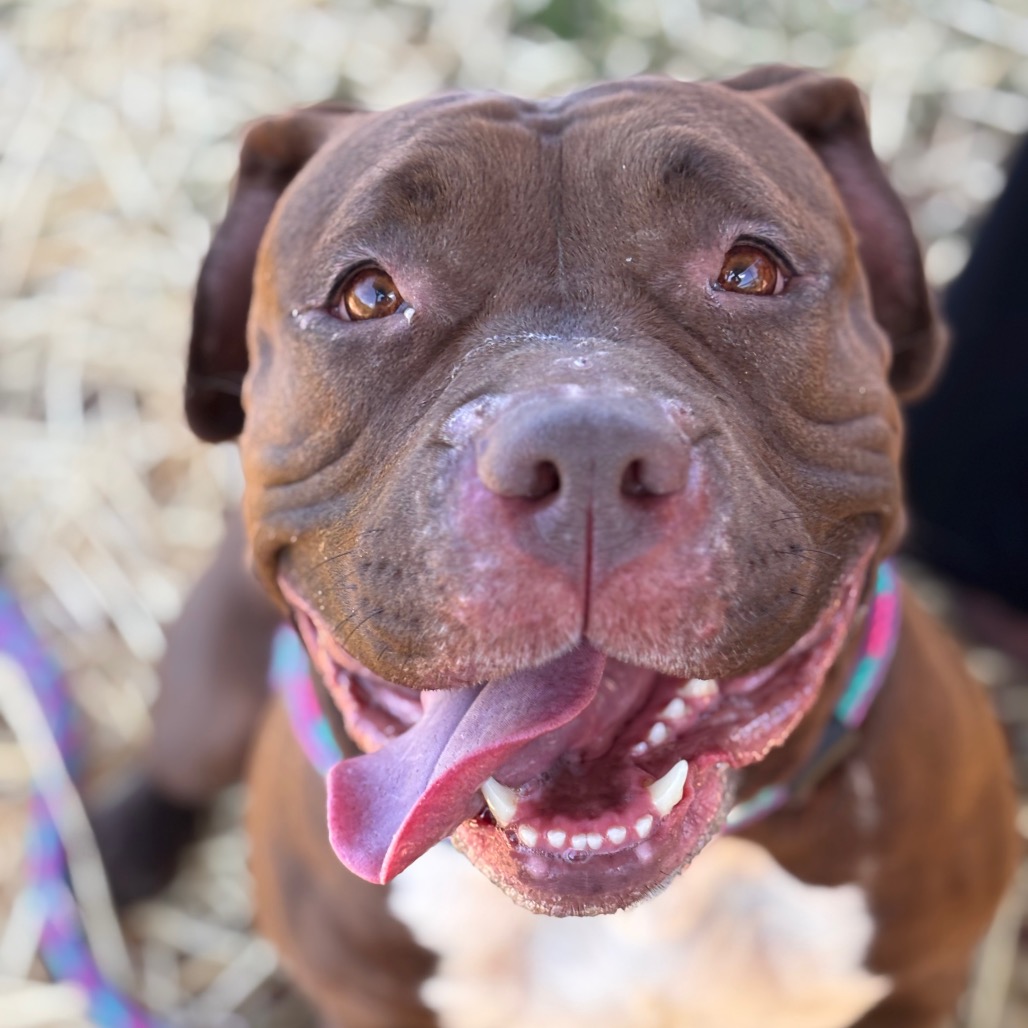 f916602875a41bf6edbc63b58026b38c