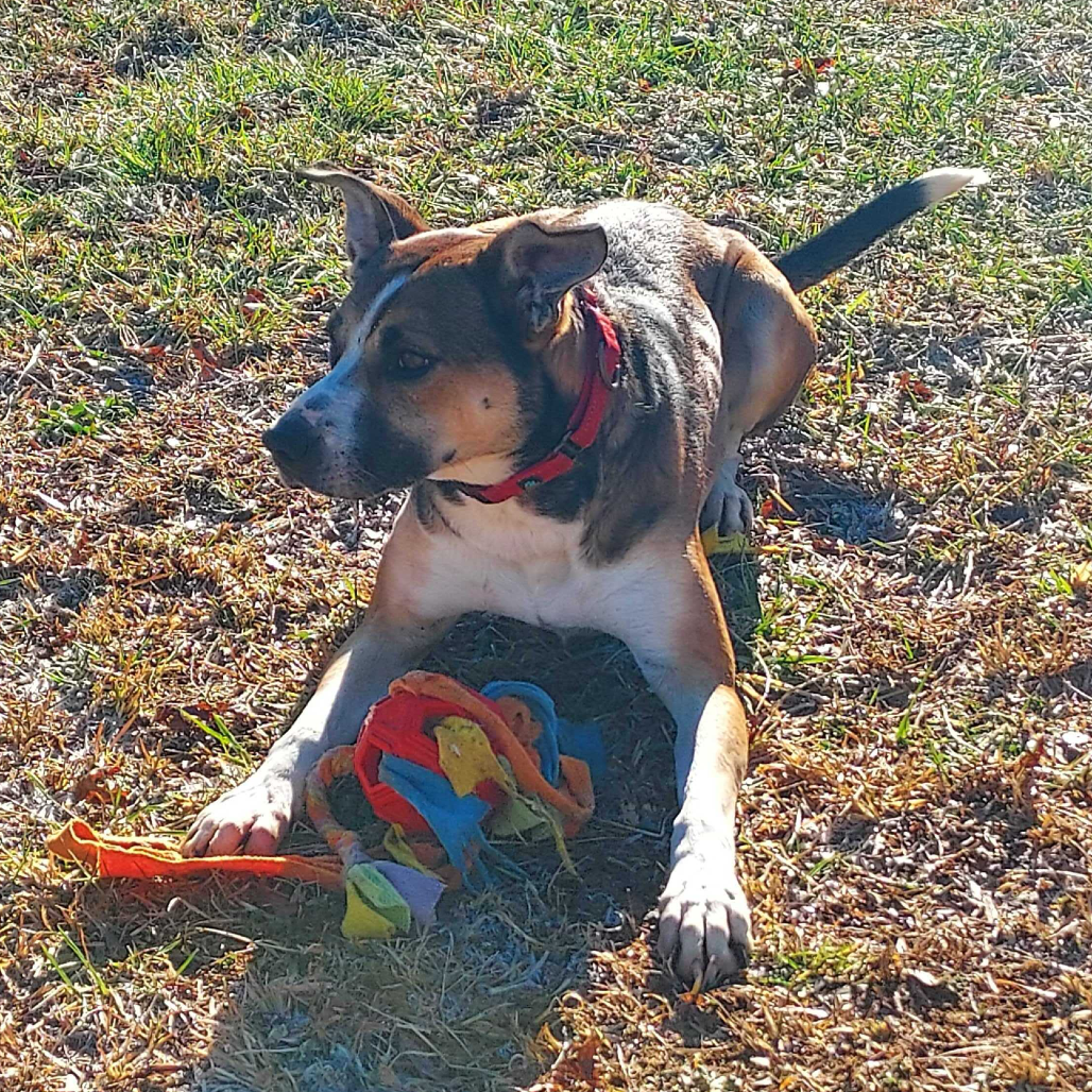 Rhett, photo 18