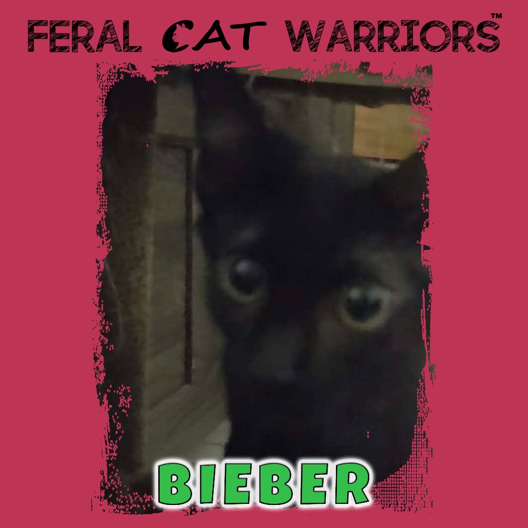 Bieber