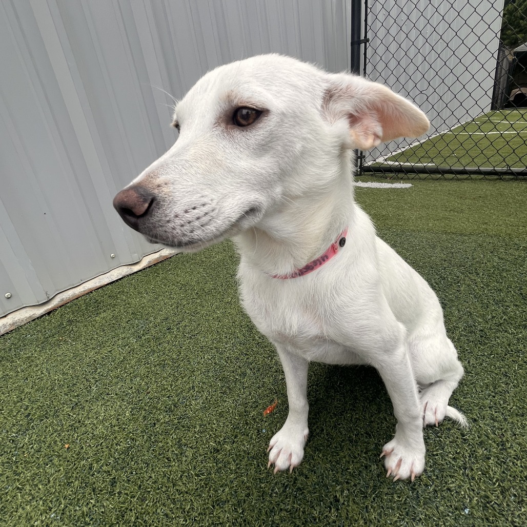 Wendy — thumbnail 3