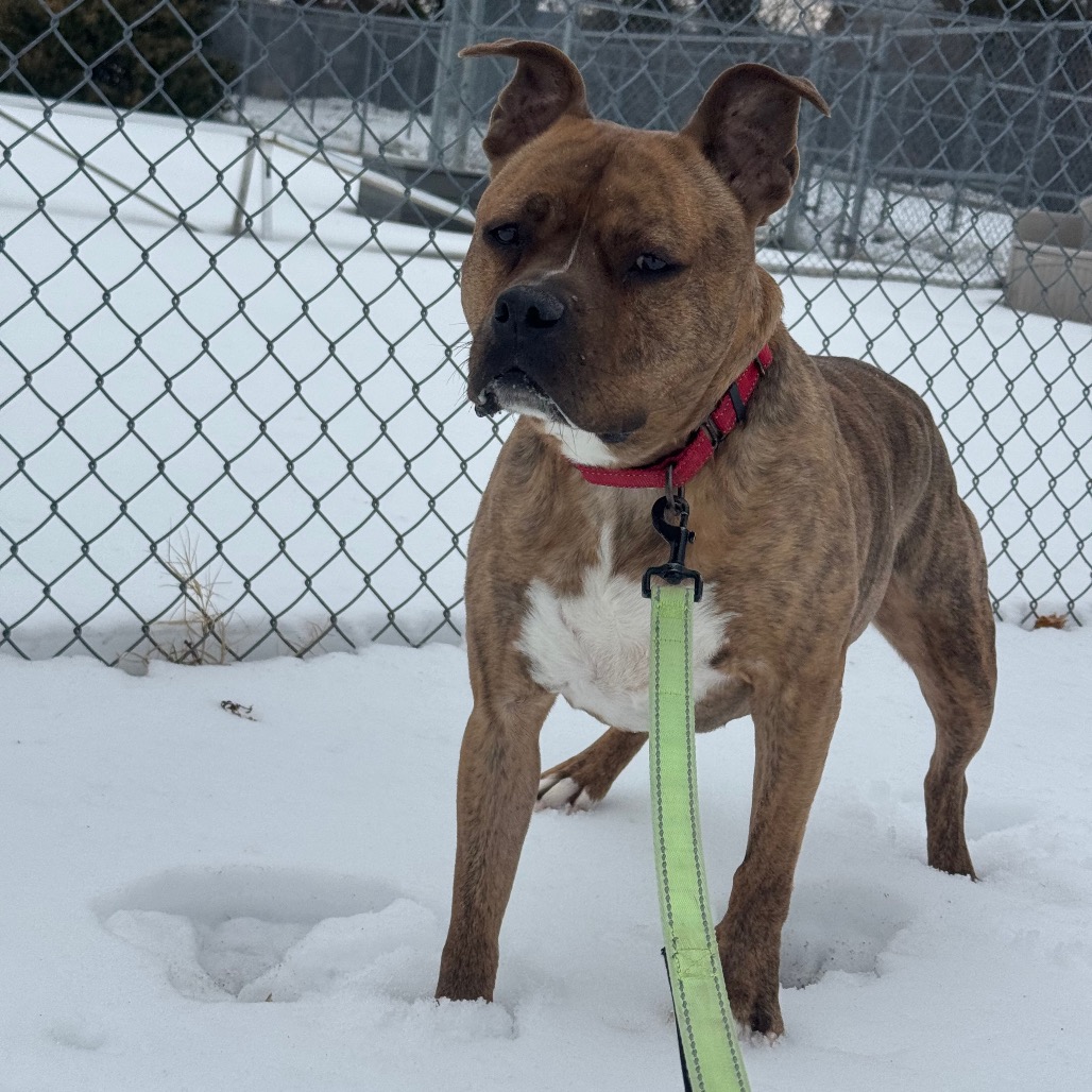 Zeus, additional photo