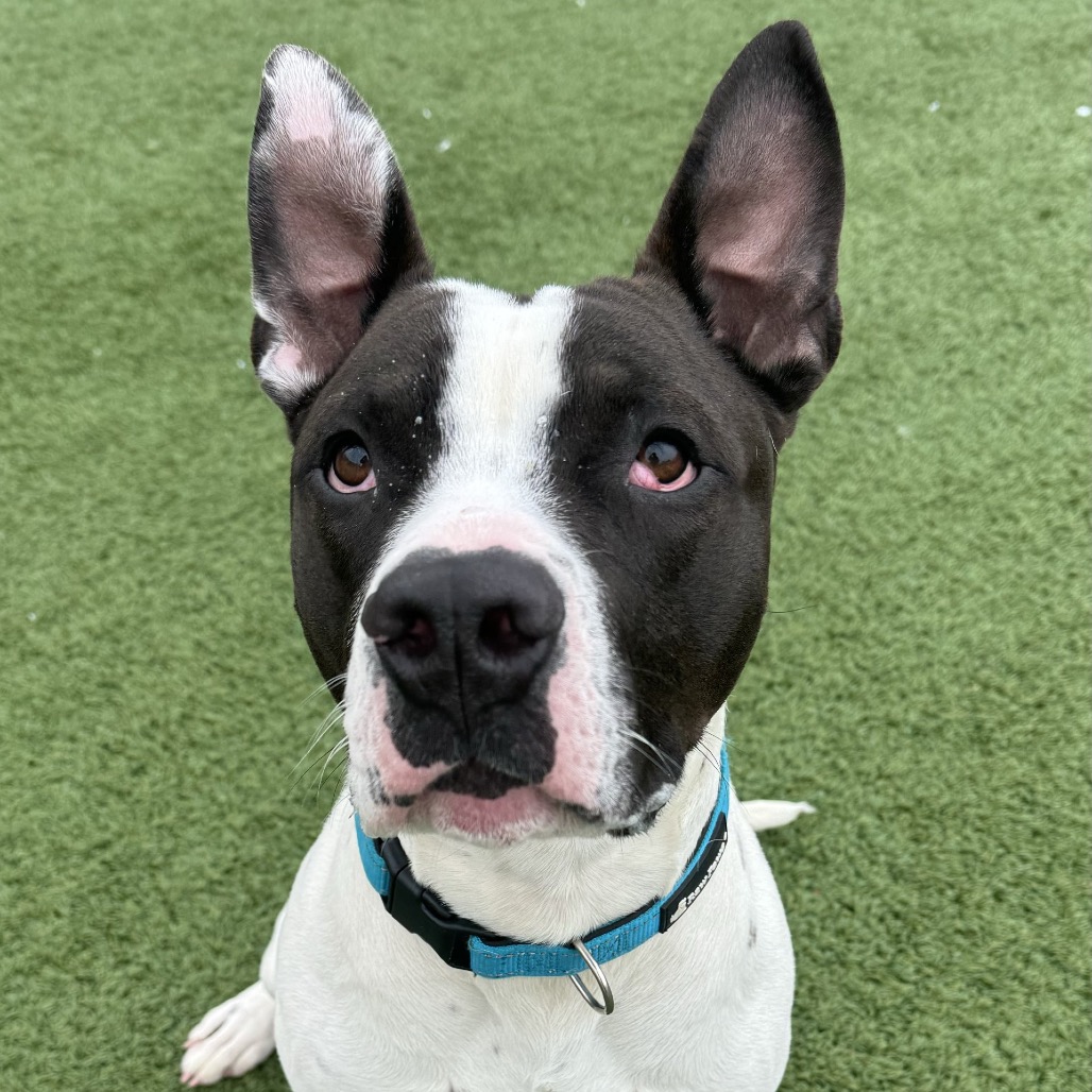 Carl — thumbnail 5