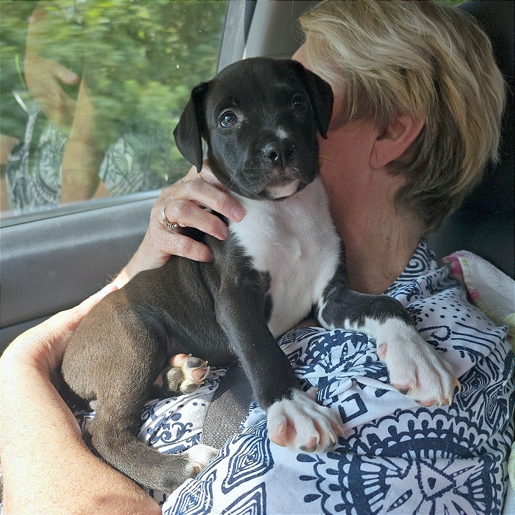 Chaos aka Betty Lu — thumbnail 11