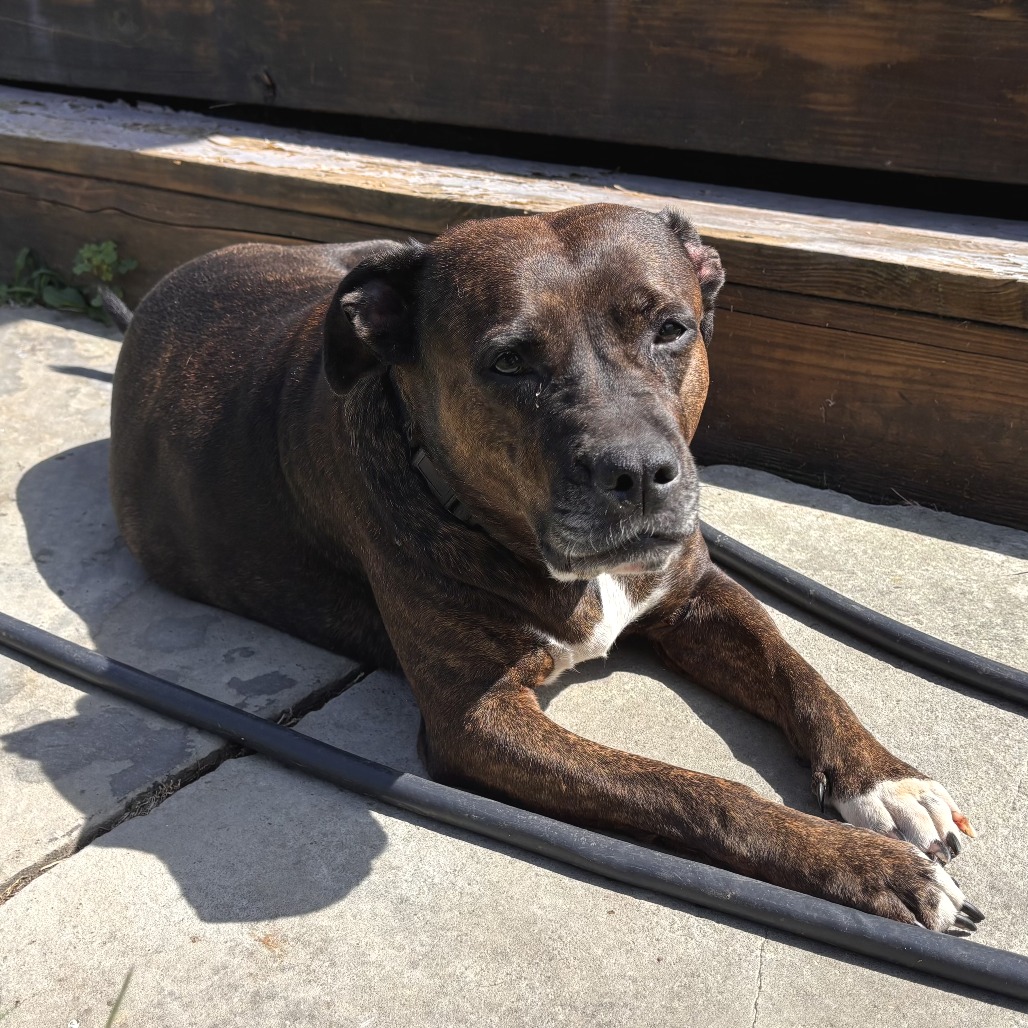 Queen Dolly, photo 7