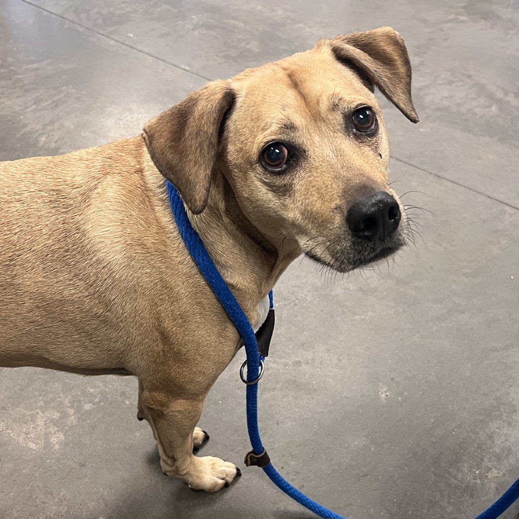 Photo of Buddy 3