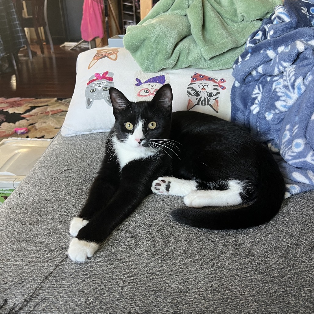 Blinkie, photo 7