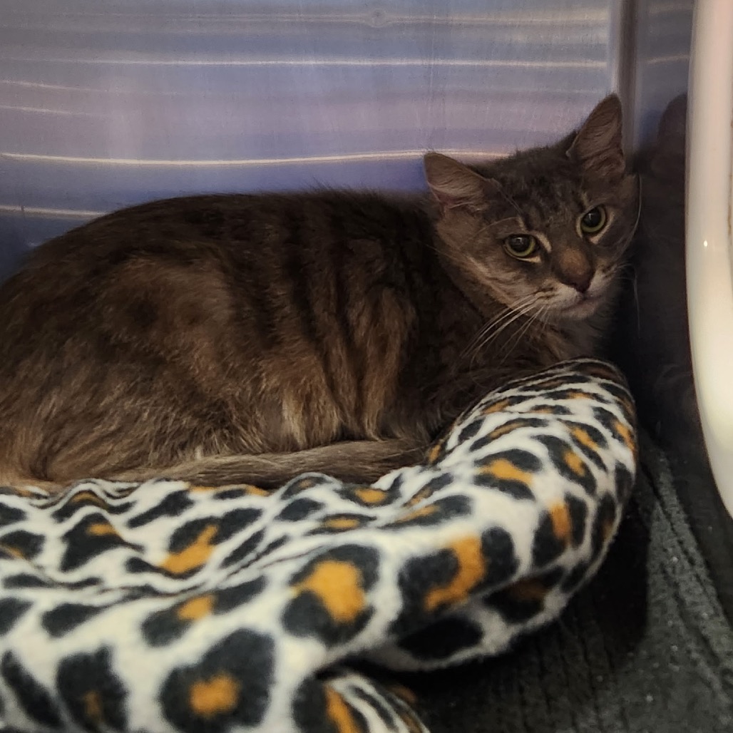 70db7dedda2e179c5e39d394bf9543f1