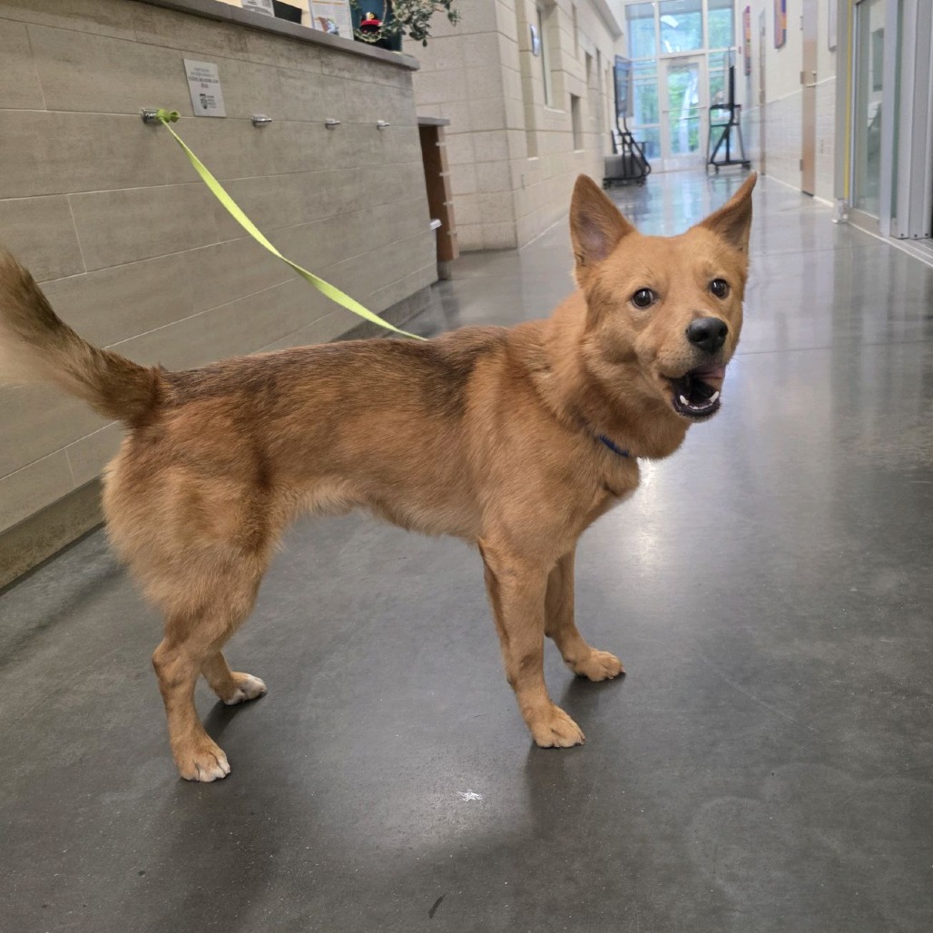 Photo of Bluegrass 5