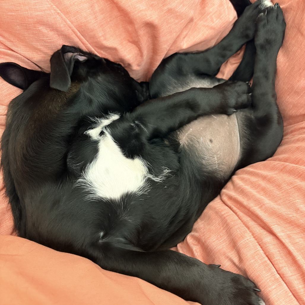 Leona — thumbnail 3