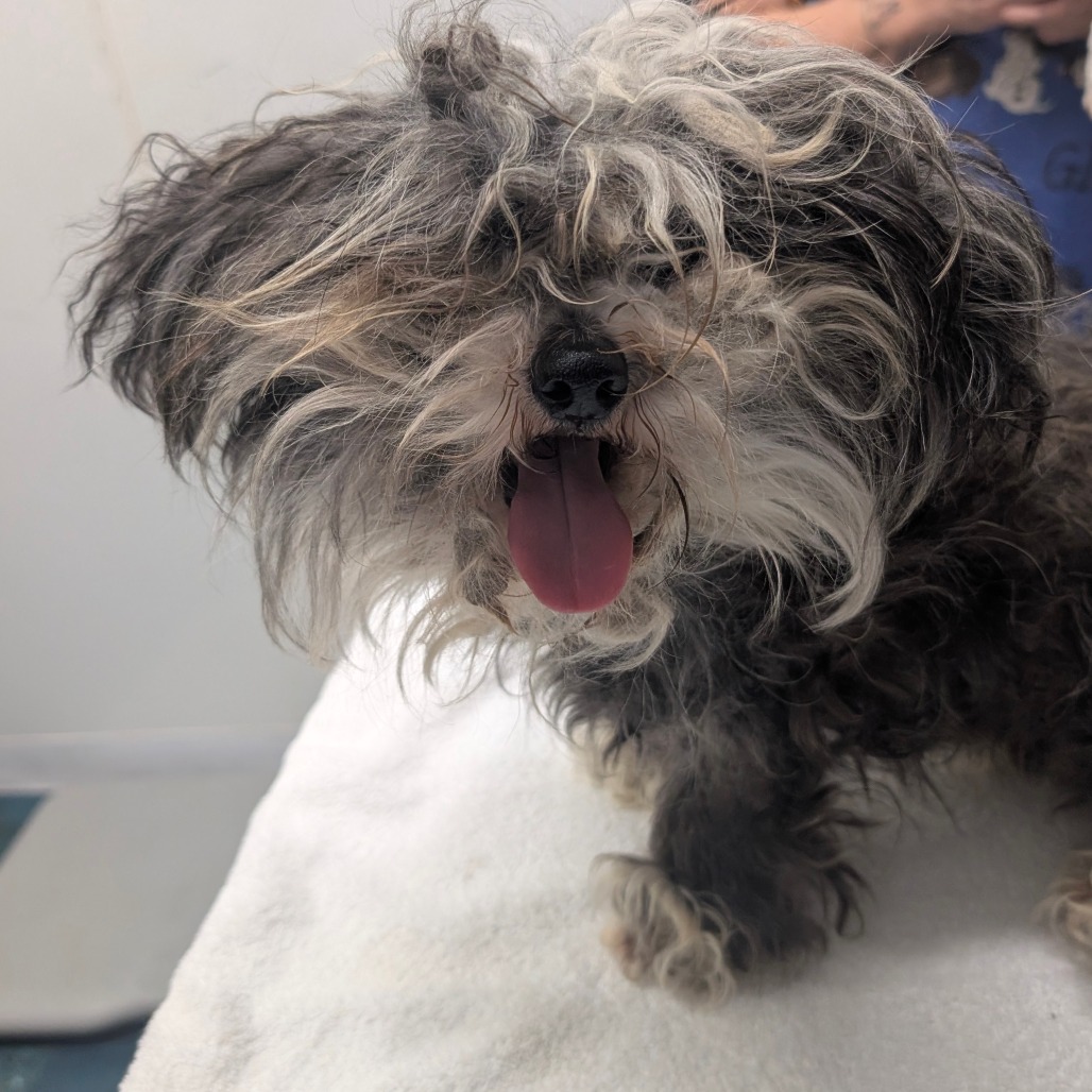 Sherri — thumbnail 2