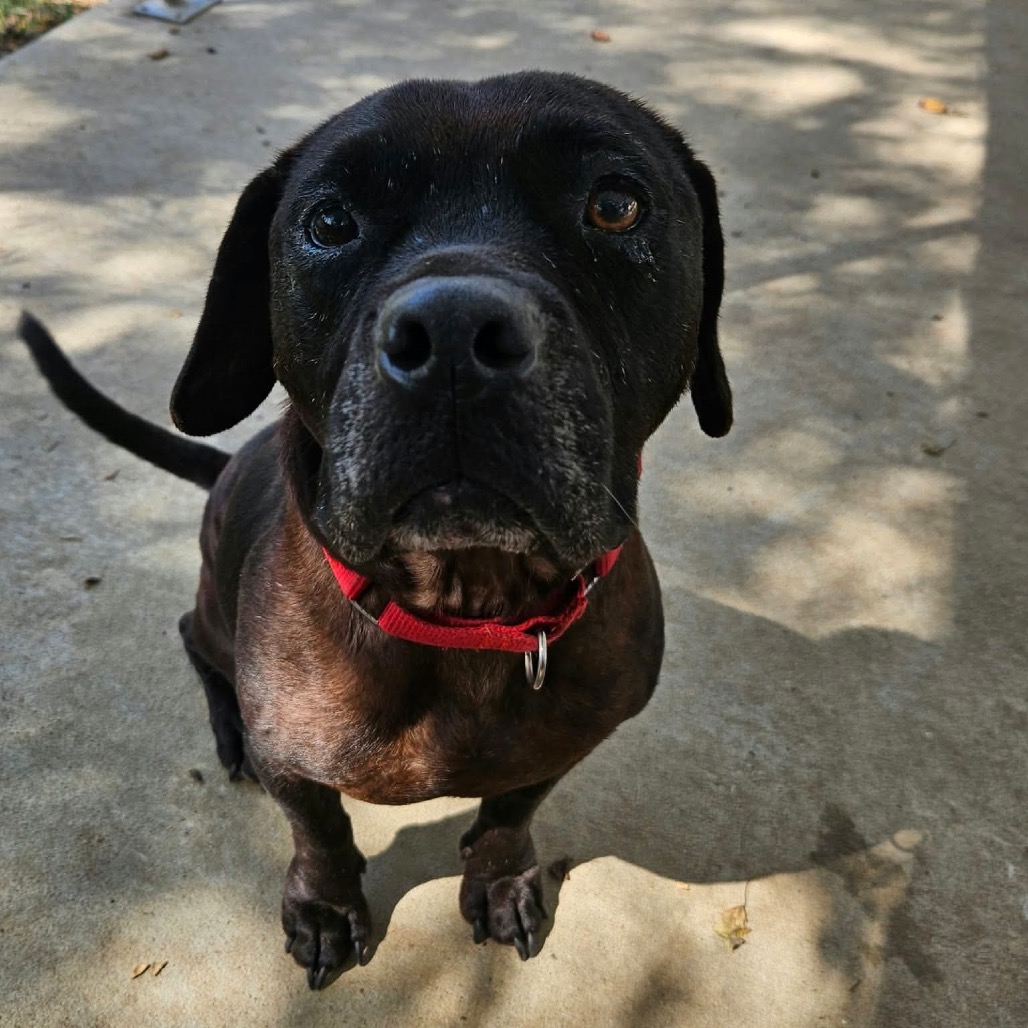 Dwight, photo 22