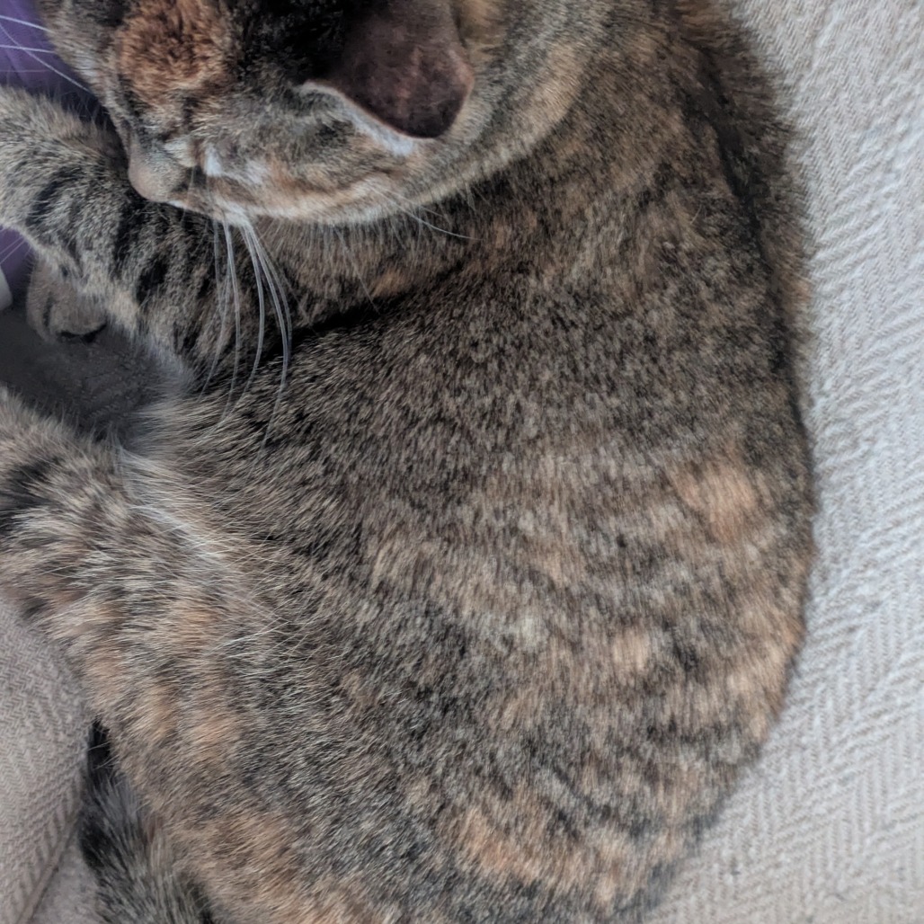 Photo of Chloe 3