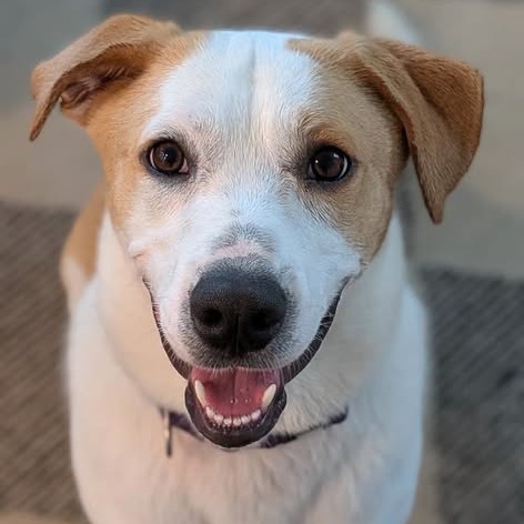 Photo of Buster