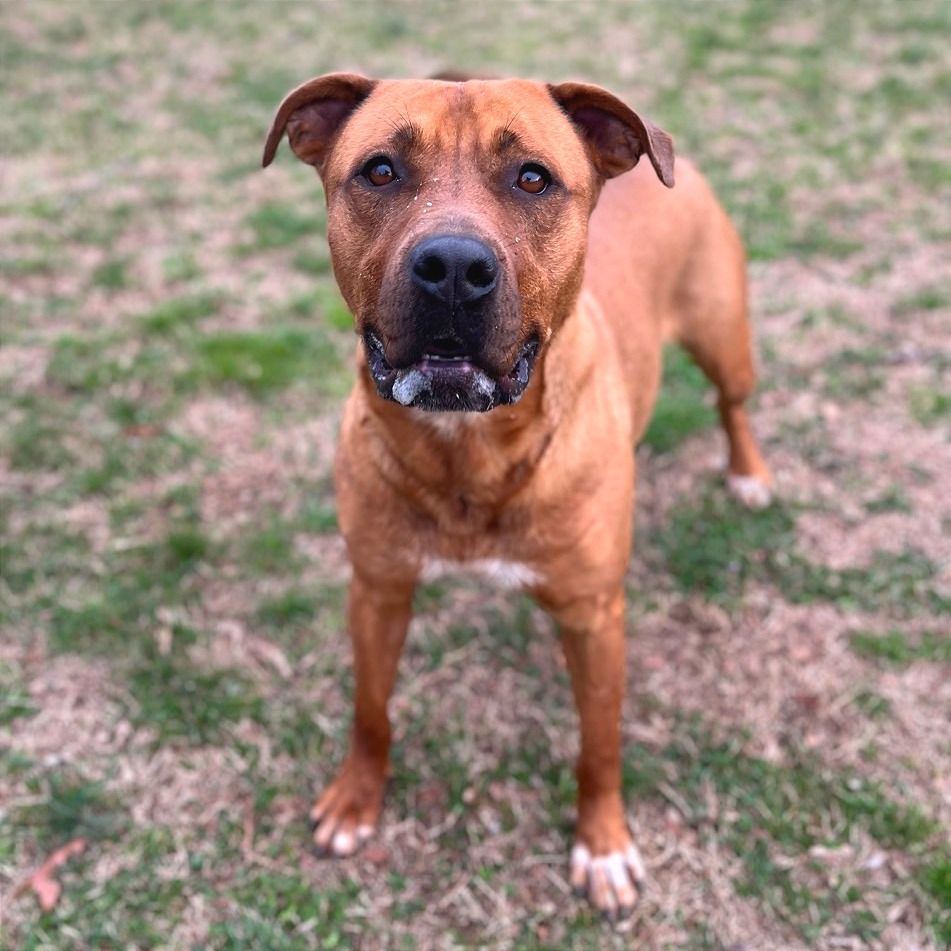 Elsie — thumbnail 7