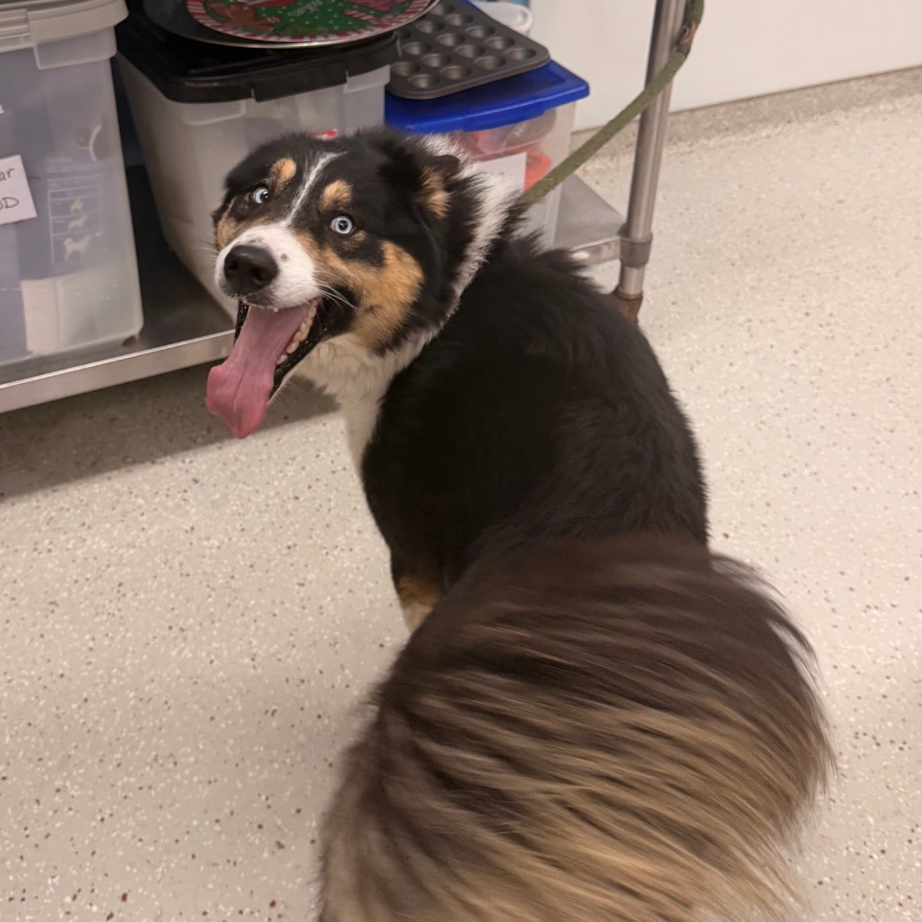 Tribeca — thumbnail 3