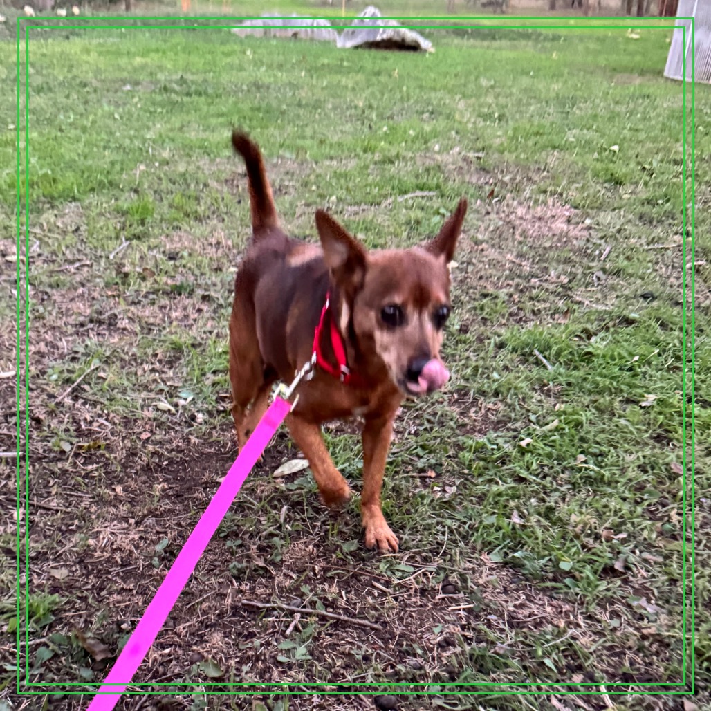 Smokey the Bear — thumbnail 9