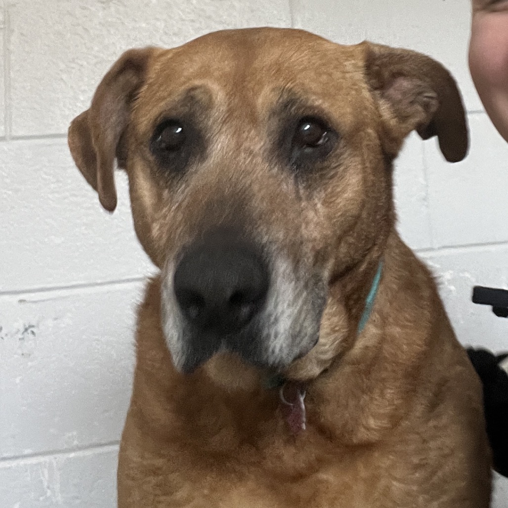 Esme — thumbnail 5