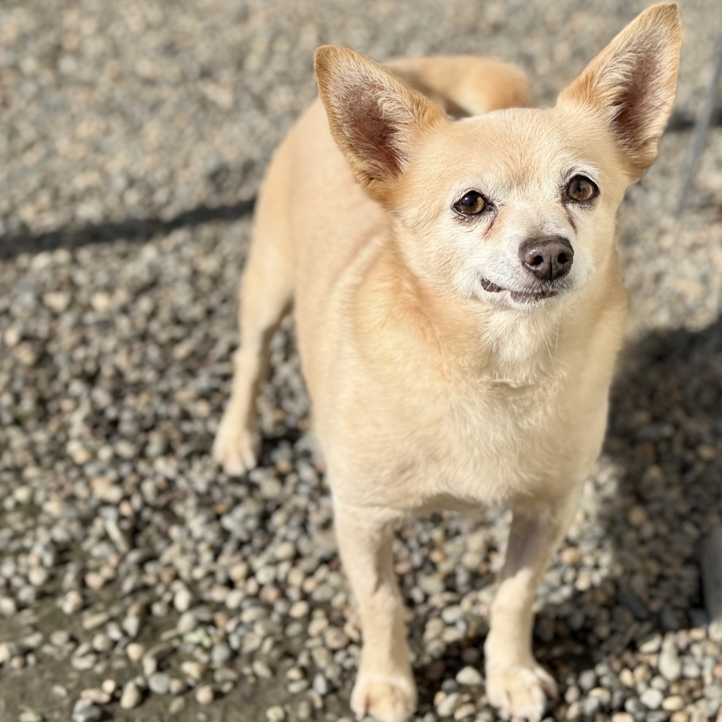 Horacio — thumbnail 4