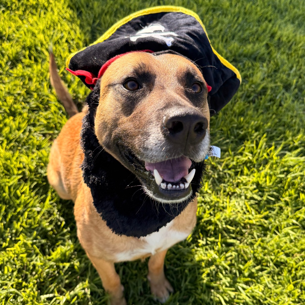 Bubz, photo 33