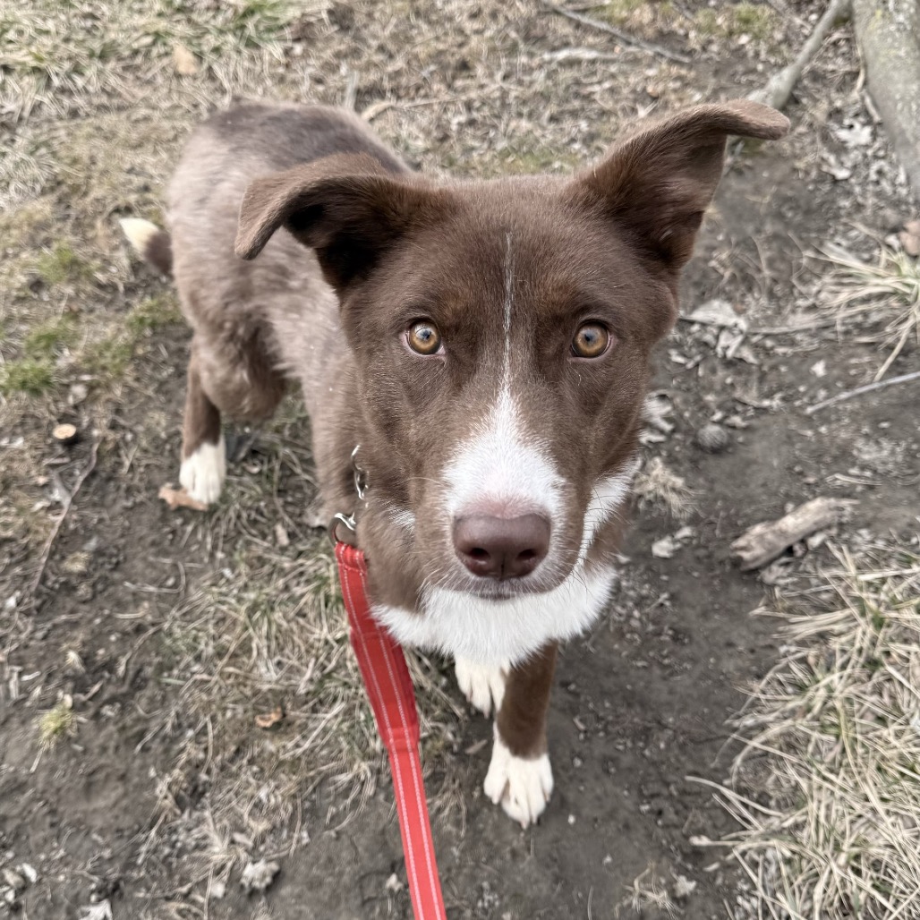 Bristol — thumbnail 10