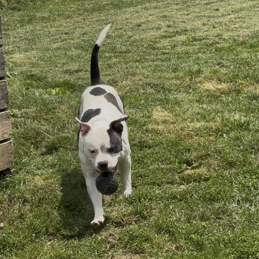 TUX, photo 9