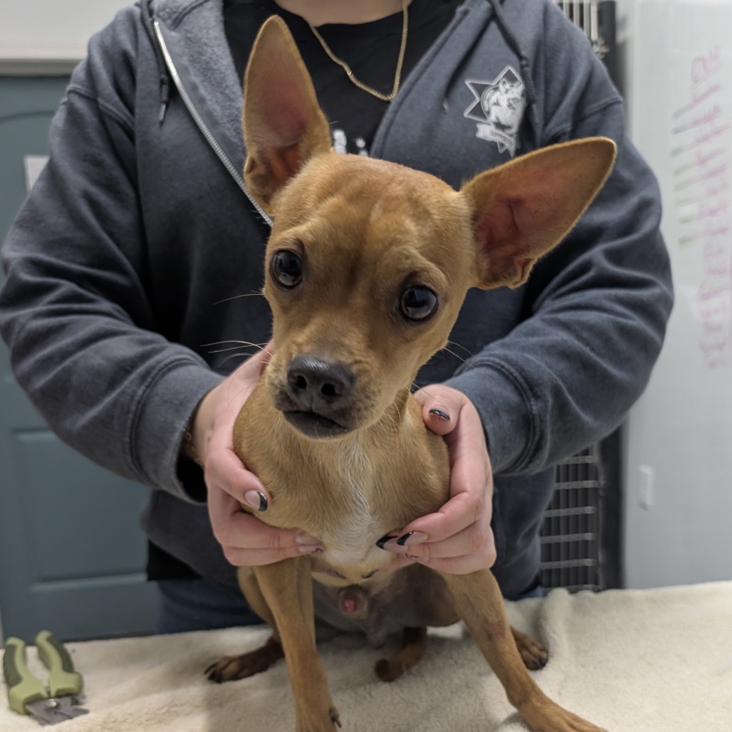 Axon — thumbnail 2