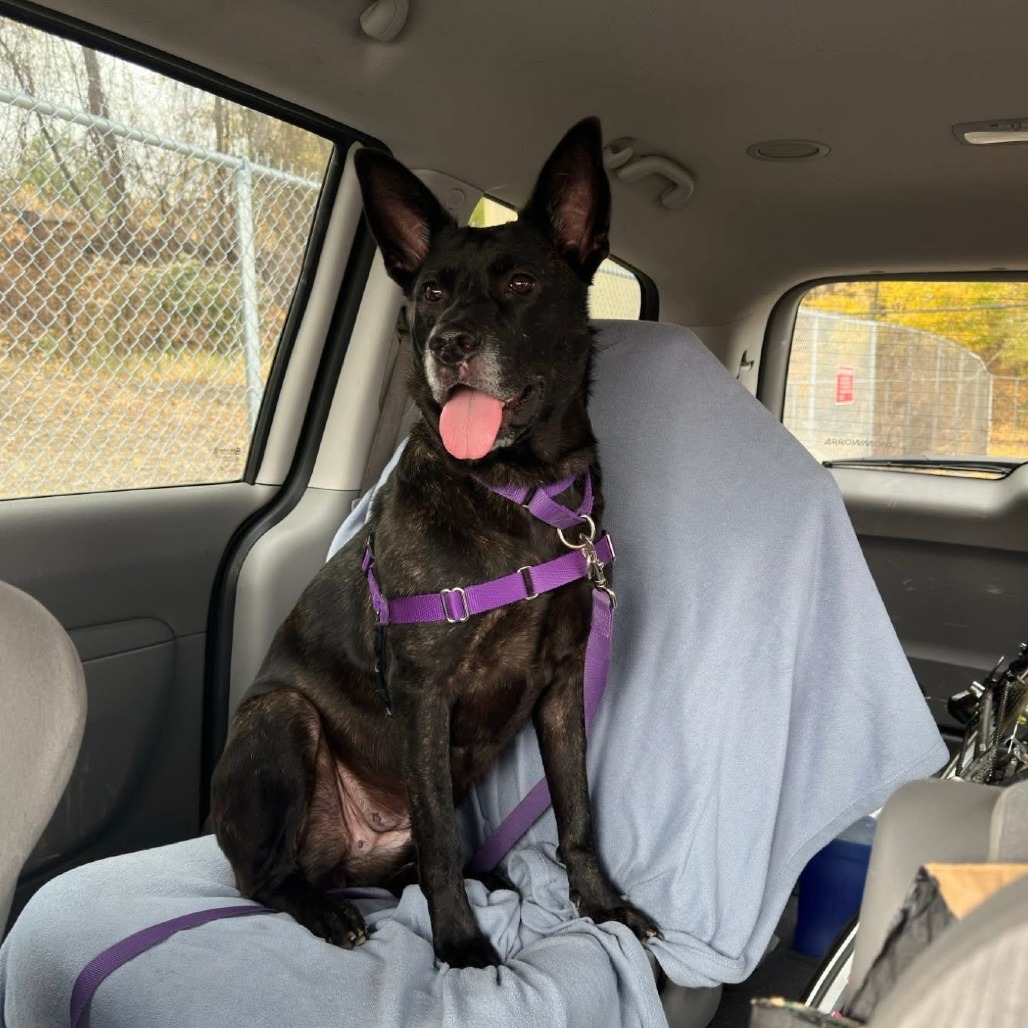 Photo of Catalina 19