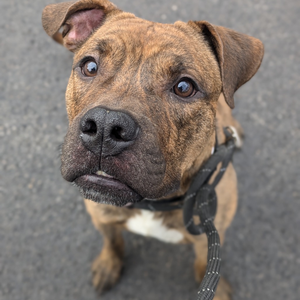 Jager — thumbnail 2