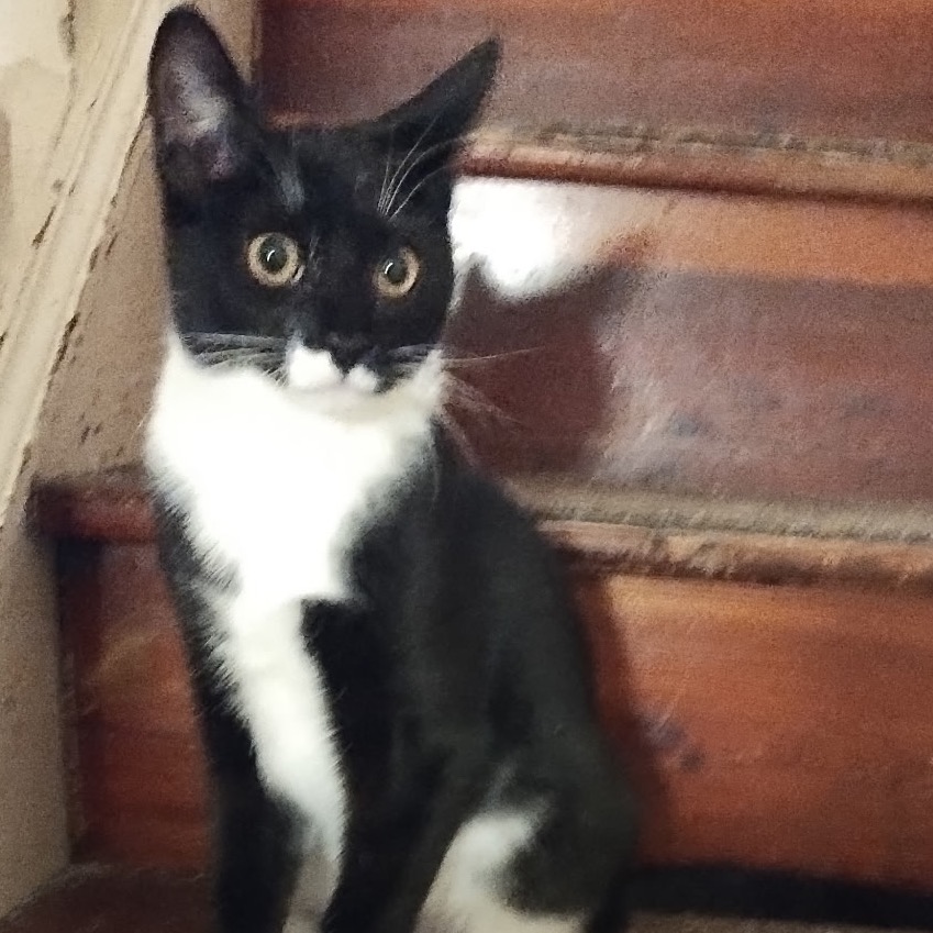Tux