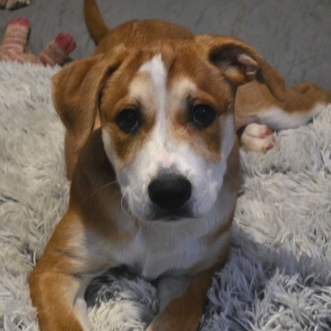 Marco, photo 6