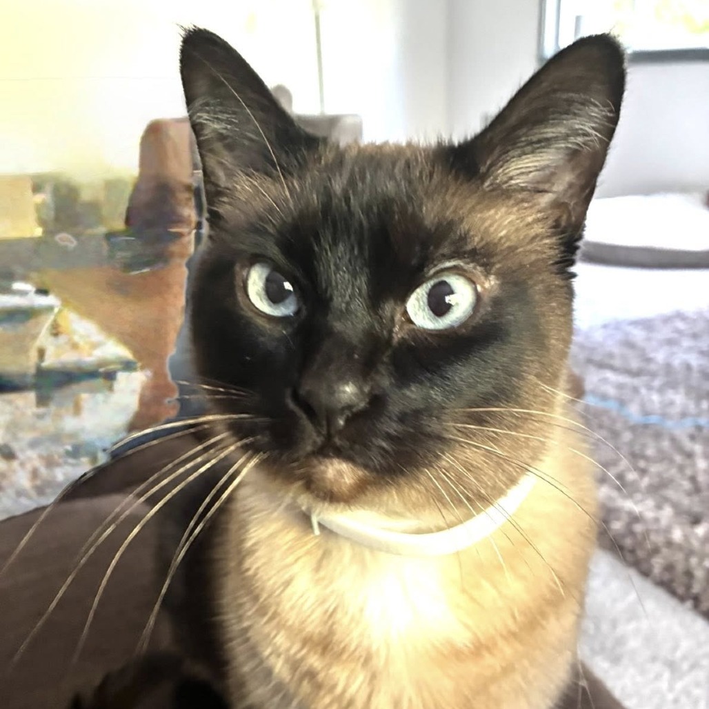 Photo of LUNA