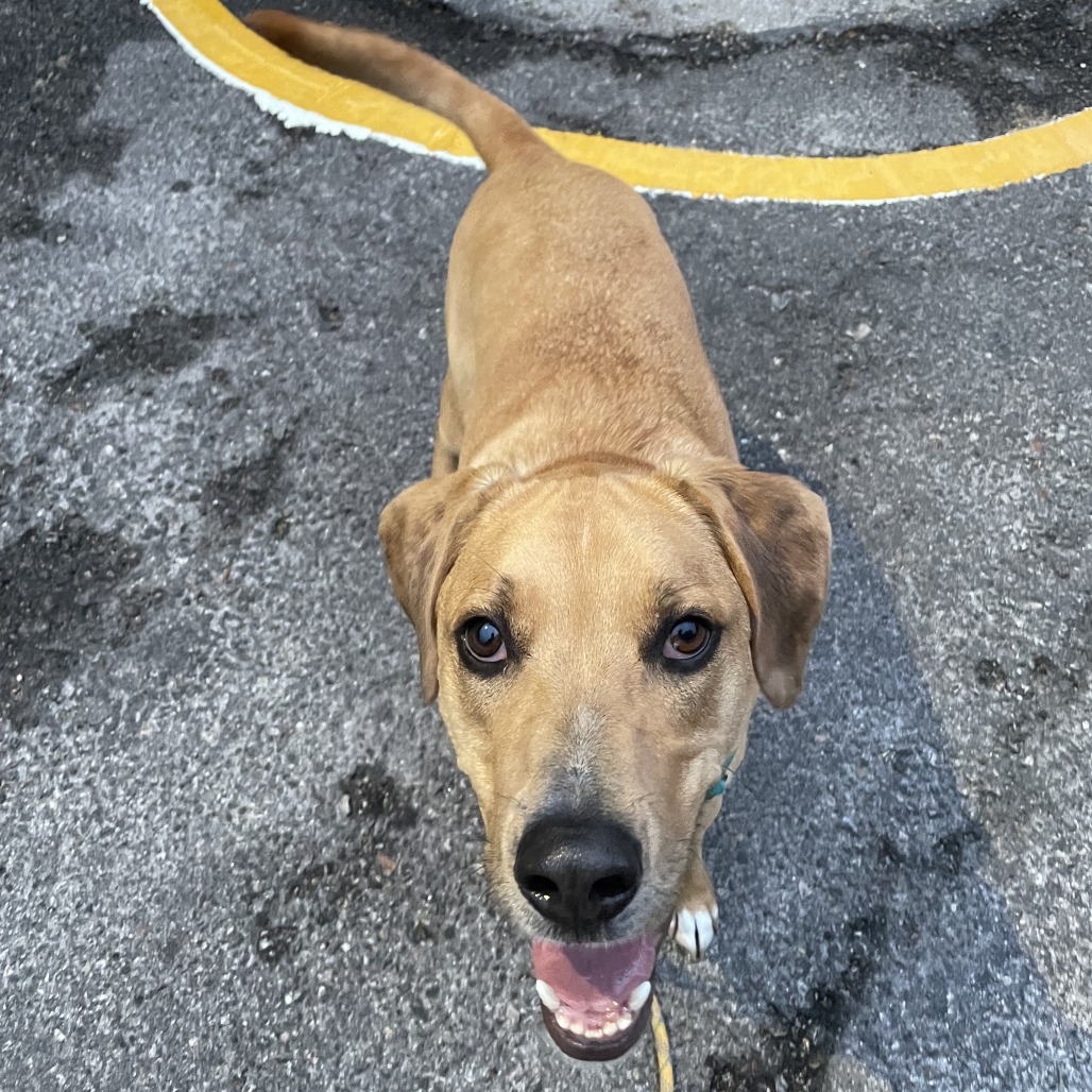 Marx — thumbnail 4