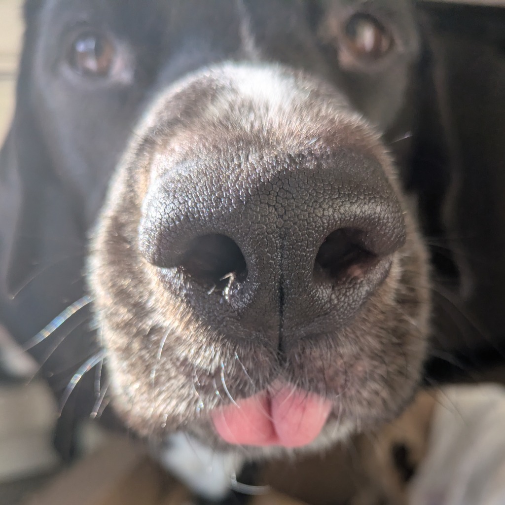 Photo of T.L. Frank 15