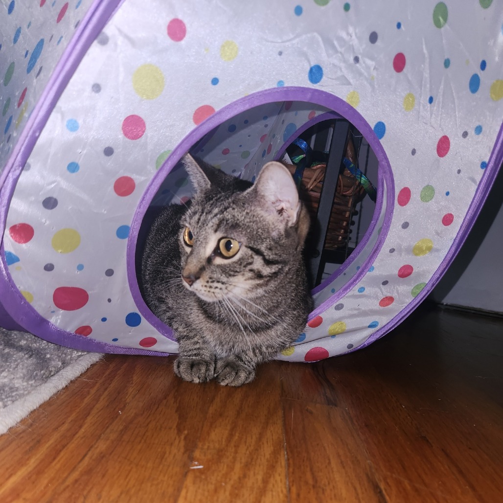 Photo of Magik