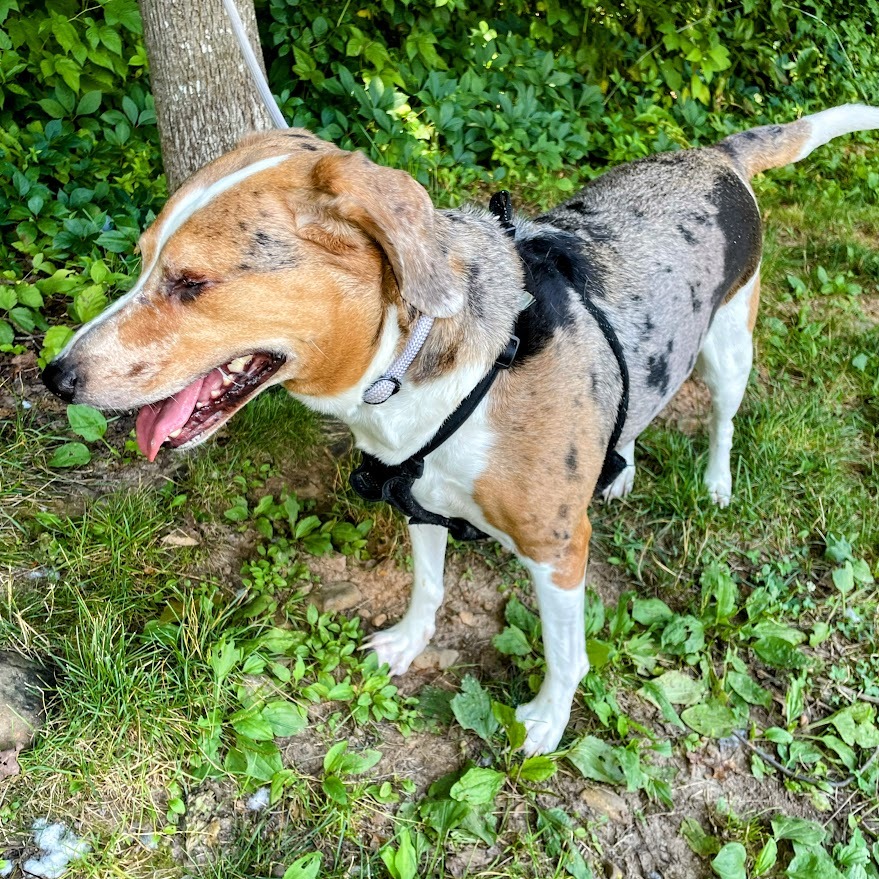 Rachel — thumbnail 2