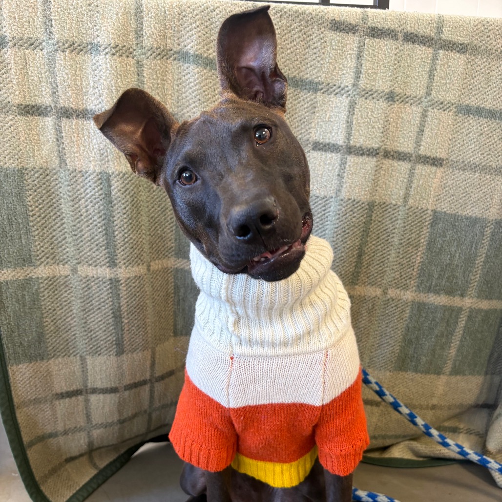 Winnie, photo 4
